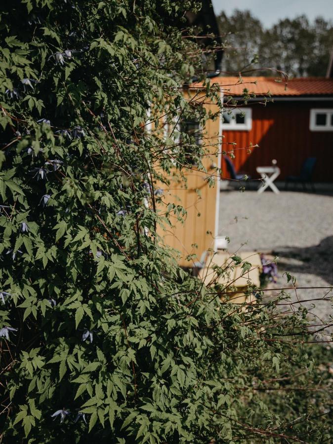 En Lantlig Idyll Med Skogen Precis Utanfoer Doerren! Villa Ullared Exterior photo